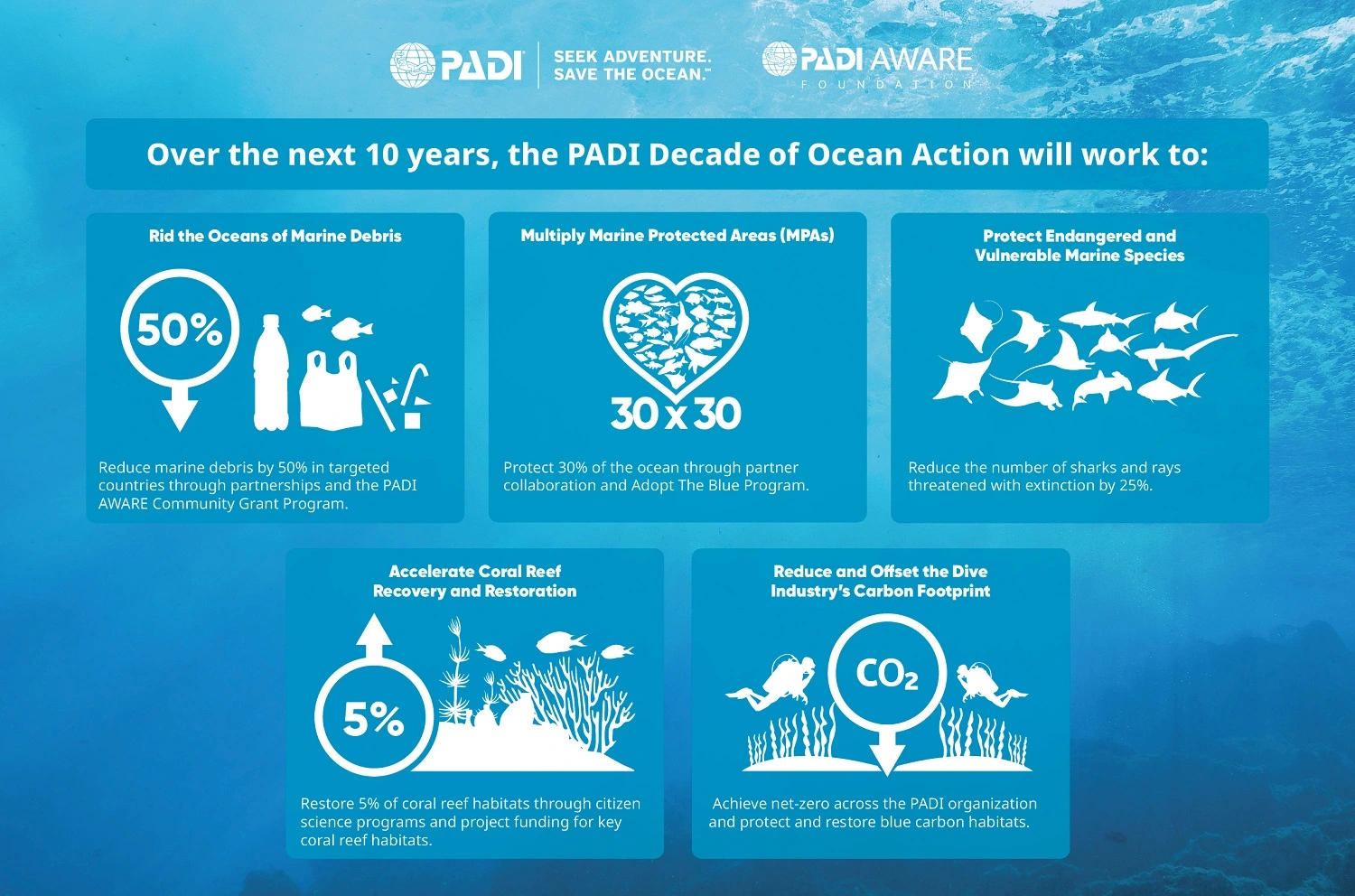 padi-decade-of-ocean-action