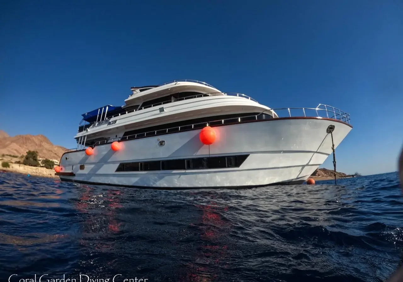 Destiny plus Destiny plus boat
