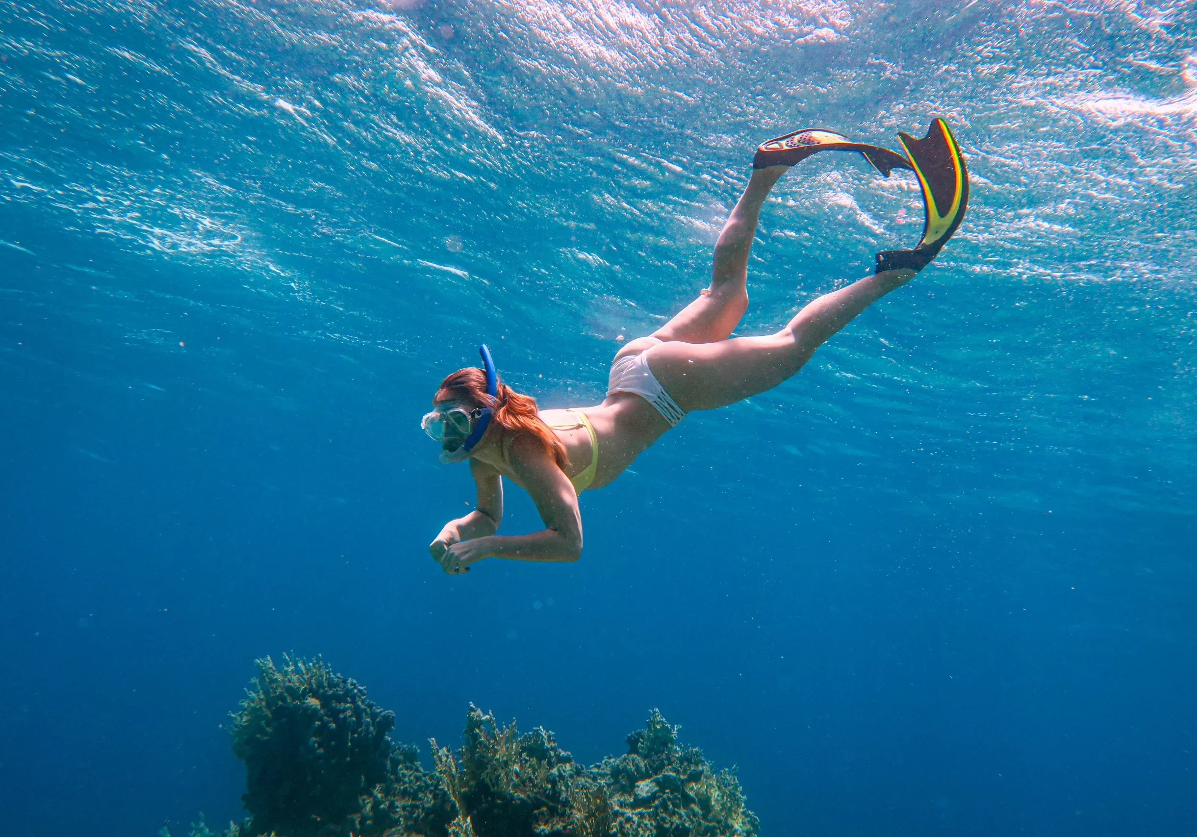 snorkeling with destiny plus snorkeling with destiny plus